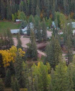 an aerial view of a forest of trees at Circle K Ranch in Rico