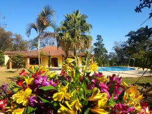 a bunch of flowers in front of a house at Sitio do Tonetti in Mairiporã