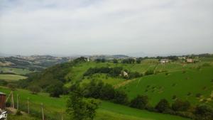 ein grüner Hügel mit Schafen auf einem Feld in der Unterkunft Casa di Tony in Montegiorgio