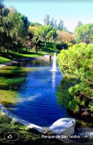 a view of a pond with a fountain in a park at Pradera de San Isidro in Madrid