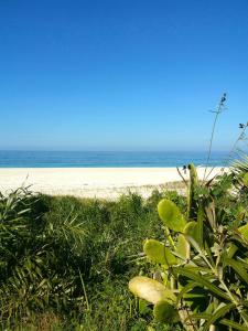 a view of a beach with the ocean in the background at Aluguel Casa em Praia Seca in Rio de Janeiro