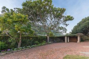 a house with a lot of trees and a driveway at Rinkink Beach House in Wilderness