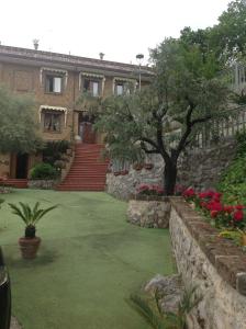 a courtyard of a building with a tree and flowers at Monte Degli Ulivi Country House in Mercato San Severino