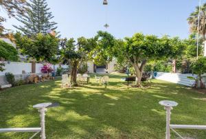 a garden with chairs and trees in a yard at Villa Amalia Suites Malaga in Málaga
