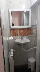a bathroom with a sink and a toilet and a mirror at Нощувки Ботеви in Shumen +23 photos