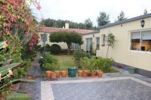 a garden with potted plants and a house at Casa da Margarida in Ponta Delgada