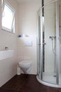 a bathroom with a shower and a toilet and a sink at Villa Croatia & Restaurant Adria in Klingenberg am Main