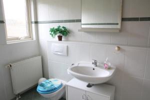 a white bathroom with a sink and a toilet at Ferienwohnungen an den Salzwiesen in Boltenhagen +37 photos