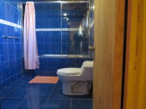 a blue bathroom with a toilet and a shower at Hostal Alabalti in San Pedro de Atacama