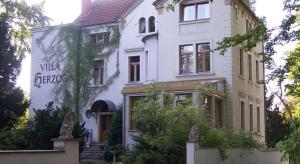 a large white house with a staircase in front of it at Hotel Villa Herzog in Dresden