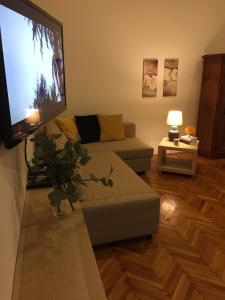 Televízia a/alebo spoločenská miestnosť v ubytovaní Opera Dream Apartment