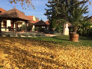 stos liści na ziemi przed domem w obiekcie Spengler Apartman w mieście Harkány