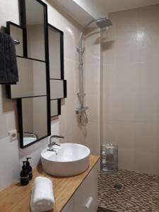 a bathroom with a sink and a shower at Panda Parc Appartment proche Pairi Daiza-Shape-Nato in Lens +8 photos