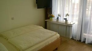 バート・フュッシンクにあるChalet Swiss - App.Nellesのベッドルーム1室(ベッド1台付)、窓(カーテン付)