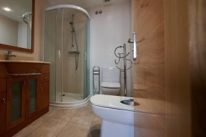 a bathroom with a shower and a toilet and a sink at Pensión San Vicente in San Sebastián