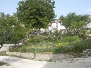 a garden in front of a house with trees and flowers at guado cannavina in Capracotta