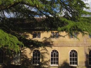 a building with many windows and a tree at The Old Masonic Lodge in Shepton Mallet