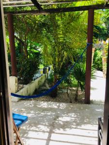 a blue hammock in a yard with trees at Maria's Kan Kin in Isla Mujeres