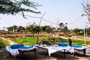 Brij Lakshman Sagar, Pali - Small Luxury Hotels of the World外面的花园