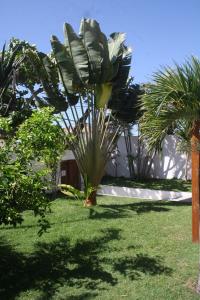 Puutarhaa majoituspaikan Villa Tropicale ulkopuolella