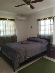 a bedroom with a bed and a ceiling fan at SANDY BOTTOM COTTAGES in Mount Thompson