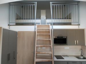 カールスボリにあるApartmán Pod Medvědí horouの台所の梯子(キャビネット、シンク付)