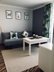 a living room with a couch and a table at Apartament Na Starówce VII in Pszczyna