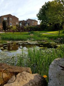 a pond in a yard with houses in the background at Grains Bar Hotel in Oldham