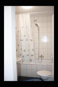a bathroom with a shower and a toilet and a sink at Alexander in Innsbruck