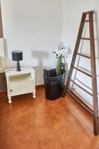 uma escada e um vaso de plantas num quarto em Nebbialuce b&b em Lessona