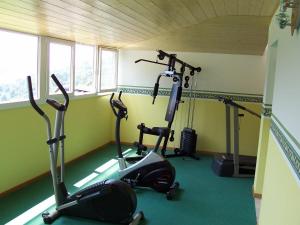 a gym with three exercise bikes in a room at Residence Hotel Montechiara in Baselga di Pinè