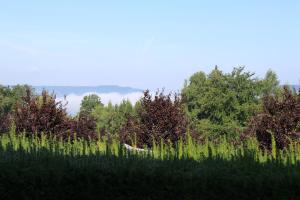 Paesaggio naturale nelle vicinanze del bed & breakfast