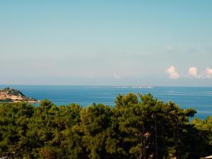a view of the ocean from behind some trees at Niko Studios in Lassi