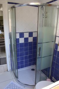 łazienka z prysznicem wyłożona jest niebieskimi i białymi kafelkami. w obiekcie Gîte proche de Giverny w mieście Saint-Aquilin-de-Pacy