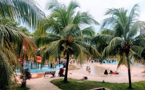 un groupe de personnes dans une piscine bordée de palmiers dans l'établissement Amari Lagoon Park Resort, à Malacca