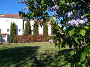 a garden in front of a house with purple flowers at Moinho das Eiras in Vila Nova de Foz Coa
