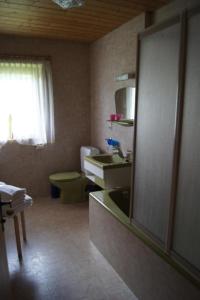 a bathroom with a sink and a toilet and a mirror at Ferienhaus Unterbrunnhaus in Finkenberg