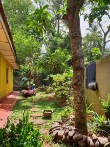 a garden with a tree and a fence at R&N Yellow House in Hikkaduwa