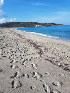 ベルゴデールにあるChez Valérie et Stéphane, Les terrasses de Lozariの砂浜の足跡群