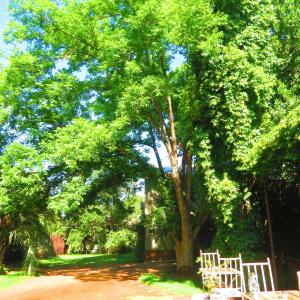 Gallery image of Huys ten Bosch in Potchefstroom