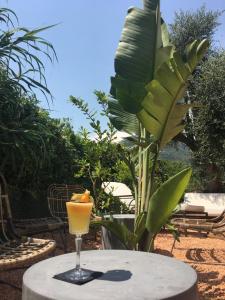 a drink on a table next to a banana plant at Avocado Hôtel in Saint-Jeannet +43 photos