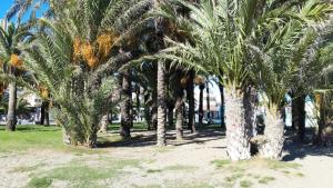 Vonkajšia záhrada v ubytovaní Las Plumas Beach