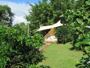 a tent in the middle of a field with trees at Alouatta Playa Coyote in San Francisco