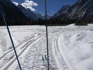 een paar skistokken in de sneeuw met bergen bij Turisticna Kmetija Psnak in Mojstrana