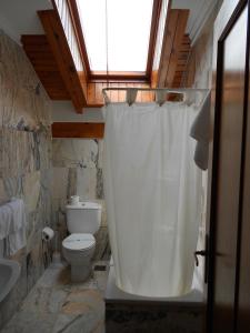 a bathroom with a toilet and a shower curtain at Hotel Narcea in Valles