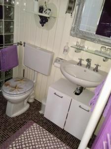 a bathroom with a toilet and a sink at Logies Het Tuinhuisje in Enschede
