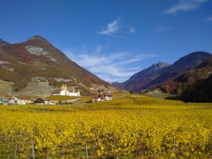 un campo di fiori gialli con montagne sullo sfondo di Elément-Terre ad Aigle