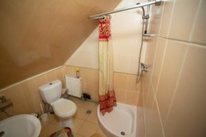 a small bathroom with a toilet and a shower at садиба "У Чубчика" in Yaremche +67 photos
