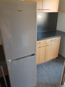 a white refrigerator in a kitchen with wooden cabinets at Appartment in Rechberghausen