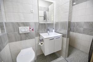 ein Badezimmer mit einem WC, einem Waschbecken und einem Spiegel in der Unterkunft Hostel Mali Pariz in Slavonski Brod